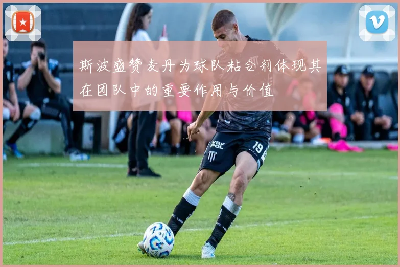 斯波盛赞麦丹为球队粘合剂体现其在团队中的重要作用与价值
